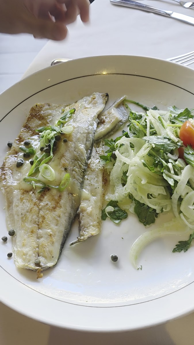 Avra Beverly Hills-2